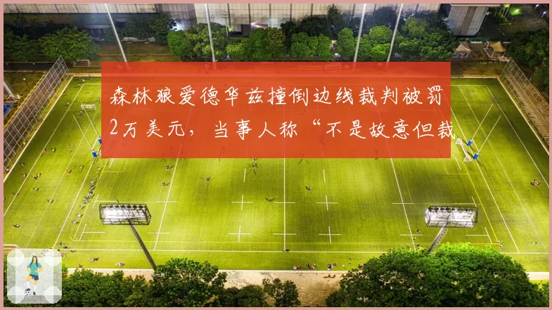 森林狼爱德华兹撞倒边线裁判被罚2万美元,当事人称“不是故意但裁判挡路”