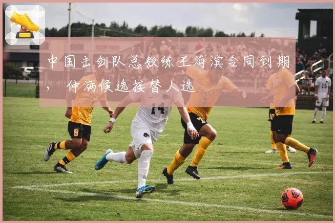 中国击剑队总教练王海滨合同到期, 仲满候选接替人选