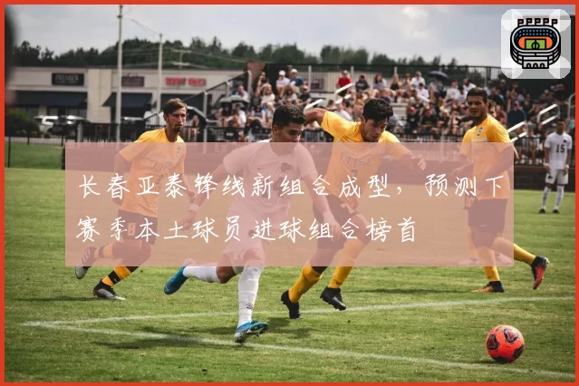 长春亚泰锋线新组合成型,预测下赛季本土球员进球组合榜首