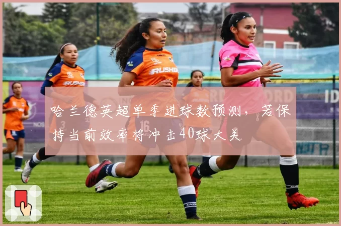 哈兰德英超单季进球数预测，若保持当前效率将冲击40球大关